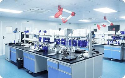 China Luox Hebei Synda International Trade Co.,Ltd company profile